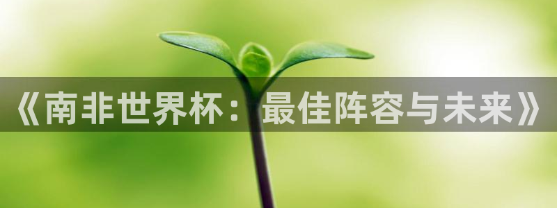 世界杯欧洲区预选赛:《南非世界杯:最佳阵容与未来》