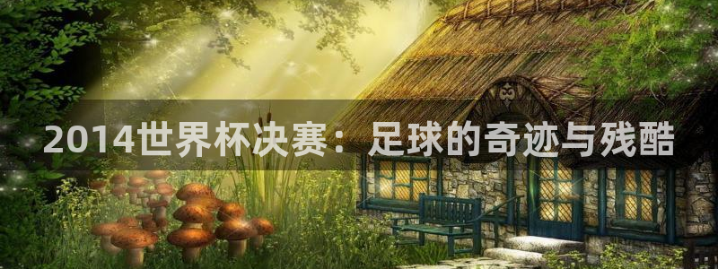 世界杯直播高清:2014世界杯决赛:足球的奇迹与残酷