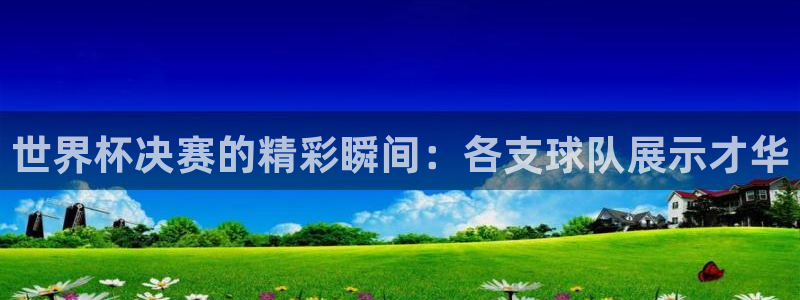 今年世界杯:世界杯决赛的精彩瞬间:各支球队展示才华