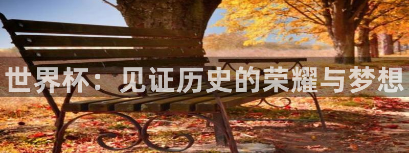 美洲杯直播:世界杯:见证历史的荣耀与梦想