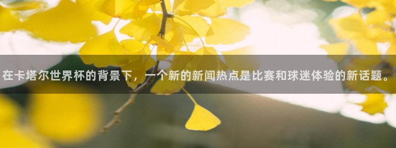 世界杯预选赛亚洲:在卡塔尔世界杯的背景下,一个新的新闻热点是比赛和球迷体验的新话题。