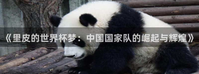 2026 世界杯:《里皮的世界杯梦:中国国家队的崛起与辉煌》