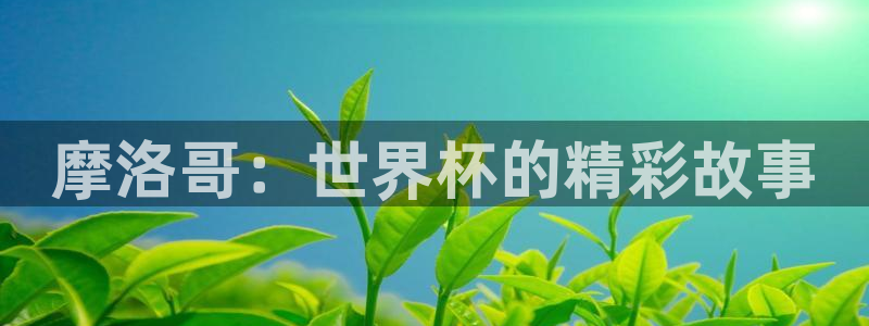 2026年足球世界杯赛程时间表:摩洛哥:世界杯的精彩故事